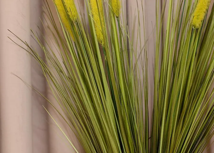 Baltini Premium Kasprowicza 20c Z Basenem, Saunami I Jacuzzi Lejlighed